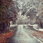 Стихи про осенние месяцы: Теплый ноябрь