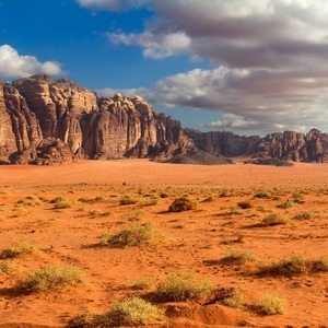 Пустыня, природа
