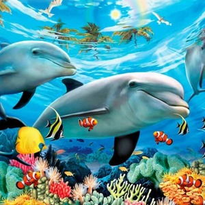 Подводный мир, море, животные, дельфин, рыбы