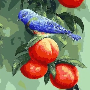 абрикос, птицы, фрукты