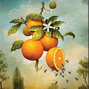 мандарин, фрукты