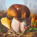 Грибные стихи для детей:  По грибы