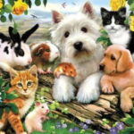 Животный мир: Стихи о кошках и собаках