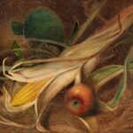 Садово-огородные стихи: Кукуруза, маис