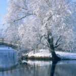 Стихи о реках и озерах: Зимняя река