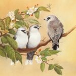 Азбука от А до Я: Весёлые азбуки про птиц