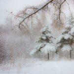 Стихи про зимнюю погоду: Метель и вьюга