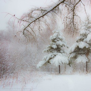 Февраль, зима, природа