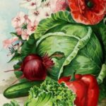 Овощные загадки: Овощи, разные овощи