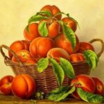 Фруктовые загадки: 20 загадок про абрикосы