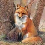 Загадки про животных: 135 загадок про лису