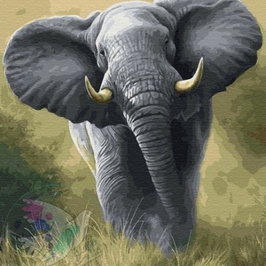 слон, животные