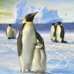 Птичьи загадки: Пингвин, пингвины
