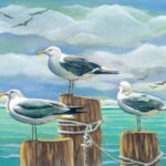 Птичьи загадки: Морские птицы