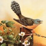 Цитаты и статусы: Птицы домашние и дикие