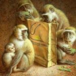Загадки о животных: Обезьяны, породы обезьян