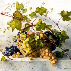 Ягодные загадки: Виноград, виноградная лоза