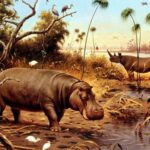 Загадки о животных: 50 загадок про бегемота