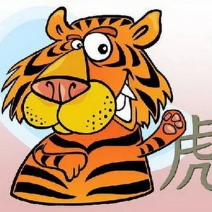 год тигра 2022, тигр, животные
