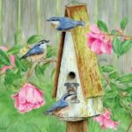 Загадки про птиц: 30 загадок о птичьем жилье