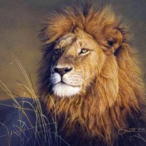 Лев, животные